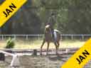 Andreas Hausberger<br>
Assisting<br>
Paula Langan<br>
Monte<br>
15 yrs. old Gelding<br>
Trainiong: GP<br>
Duration: 26 minutes