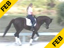 Hubertus Schmidt<br>
Assisting<br>
Heidi Degele<br>
Everybody Darling<br>
Westfalen<br>
12 yrs. old Gelding<br>
Training: Grand Prix<br>
Duration: 31 minutes