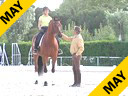 Juan Matute<br>
To Improve The<br>
Balance Of The Horse<br>
Assisting<br>
Paloma Praga<br>
Casa Nova<br>
6 yrs. old<br>
Duration: 17 minutes