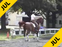 Lendon Gray<br>Assisting<br>Mica Mabragana<br>Granada<br>Owner: Sam Grunkorn<br>Swedish Gelding<br>11 yrs.old Stallion<br>Training Intermediaire (FEI Yr.)<br>Duration: 43 minutes