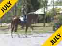 Jane Hannigan<br>Riding the Diamond Excersis<br>Georgio<br>5 yrs. old Draft Horse<br>Owner: Beth Fishman<br>Training:Training Level<br>Duration: 25 minutes