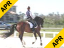 Hubertus Schmidt<br>
Assisting<br>
Nancy Smith<br>
Donneur<br>
KWPN<br>
Owner: Caroline Ashton<br>
10 yrs. old Gelding<br>
Training: Prix St. George<br>
Duration: 36 minutes