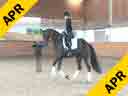 Christoph Hess<br>Assisting<br>Phillipp Hess<br>Dorian Grey<br>Hanoverian<br>6 yrs. old Gelding<br>Training: 1st Level/FEI 6 yrs. old<br>Owner: Phillipp Hess<br>Duration: 50 minutes