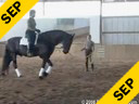 Felicitas von Nuemann<br>
A Lunging Lesson<br>
Focused on Seat, Position & Balance<br>
Assisted by Olivia Frost & Eileen McKenna<br>
Nolke<br>
12 yrs. old Gelding<br>
Location:First Choice Farm, Maryland USA<br>
Duration: 20 minutes