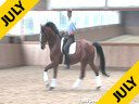 Rudolf Zeilinger<br>
Riding & Lecturing<br>
Cresendo<br>
Holsteiner<br>
by:Casall<br>
6 yrs. old Gelding<br>
Training: 3rd Level<br>
Duration: 30 minutes