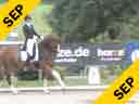 Cristoph Hess<br>Test Commentary<br>Prix St. George<br>Micheal Klimke<br>Floredo 2<br>by: Florestan<br>8 yrs. old Westphalian<br>Duration: 6 minutes