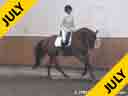 Leslie Reid<br>Assisting<br> Pia Fortmuller<br>Anited<br>4 yrs. old KWPN Gelding<br>WarmUp & TL4 Test<br>Training: Training Level<br>Devonwood Horse Show<br>Portland, Oregon<br>Duration: 25 minutes