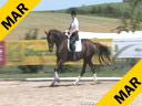 Heike Kemmer<br>
Assisting<br>
Diana Mukpo<br>
Pascal<br>
Swedish Warmblood<br>
Training: GP Level<br>
Owner:  Diana Mukpo<br>
Duration:  33 minutes
