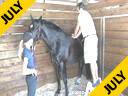 Massage Therapy for Dressage Horses<br>Sal Salvetti<br>& Jane Hannigan<br>Discussion on<br>Massage Therapy<br>for Dressage Horses<br>Part 3 of Three Parts<br>Duration:41 minutes