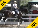 Mette Rosencrantz<br>Riding & Lecturing<br>Donnatello<br>By:Don Schufro<br>Swedish Warmblood<br>6 yrs. old<br>Training:3rd Level<br>Duration: 40 minutes