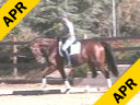 Volker Brommann<br>
Riding & Lecturing<br>
Optimist<br>
10 yrs. old Gelding<br>
KWPN<br>
Training: 4th Level<br>
Duration: 36 minutes