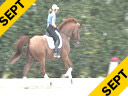 Conrad Schumacher<br>
Assisting<br>
Jennifer Beaumert<br>
De Wert<br>
Hanoverian<br>
6 yrs. old Gelding<br>
Training: 1st Level<br>
Duration: 31 minutes