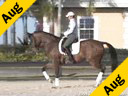 USDF APPROVED<br>
University Accreditation<br>
Steffen Peters<br>Assisting<br>Ilse Schwarz<br>Cadenza<br>by: Contango<br>10 yrs.old Oldenburg Gelding<br>Training: PSG<br>Duration:36 minutes