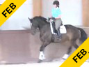 Arthur Kottas<br>
Assisting<br>
Gillian Wright<br>
Italo<br>
8 yrs. old Gelding<br>
Bavarian Warmblood<br>
Training: 3rd Level<br>
Owner: Fritz Baehre<br>
Duration: 30 minutes