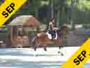 Gary Rockwell<br>
Assisting<br>
Alexandra Krossen<br>
Damani<br>
10 yrs. Old Mare<br>
Training: PSG<br>
Owner:  Heather Mason<br>
Duration: 42 minutes

