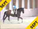 Arthur Kottas<br>
Assisting<br>
Dagmar Fortmuller<br>
Dubonet<br>
6 yrs. old Gelding<br>
Training: 1st Level<br>
Duration: 35 minutes