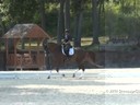 Gary Rockwell<br>
Assisting<br>
Cindy Roesener<br>
Sonaro<br>
16  yrs. Old  Gelding<br>
Training: Intermediare 1/2<br>
Owner:  Cindy Roesener<br>
Duration: 49 minutes
