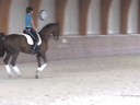 Arthur Kottas<br>
Assisting<br>
Leonie Baehre<br>
In Flagrant<br>
15 yrs. old Stallion<br>
Trakehner<br>
Training: GP Level<br>
Owner: Fritz Baehre
Duration: 37 minutes