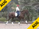 Available on DVD No.32<br>Day 1<br>Guenter Seidel<br>Riding & Lecturing<br>UII<br>(owned by Dick & Jane Brown)<br>KWPN<br>7 yrs. old<br>Training Prix St. George<br>Duration: 46 minutes