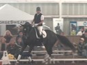 NEDA Fall Symposium<br>Day 3<br>Hubertus Schmidt<br>Assisting<br>Marie Louise Barrett<br>Cantaris<br>6 yrs. old Gelding<br>Hanoverian <br>Owner: Beth Ferber<br>Training: 2nd Level<br>Duration: 48 minutes