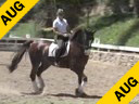 Mette Rosencrantz<br>Assisting<br>Anna Dahlverg<br>Don Juan<br>By:Don Schufro<br>Swedish Gelding<br>7 yrs. old<br>Training Second Level<br>Duration: 38 minutes