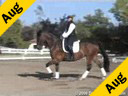 Jan Ebeling<br>Assisting<br>Ann Romney<br>Sehoeme Maestro<br>13 yrs. Old Mare<br>Training: Grand Prix School Master<br>Duration: 35 minutes