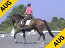 Jane Savoie<br>Assisting<br>Carrie Wehle<br>Blaze<br>Thoroughbred<br>6 yrs. old<br>Training Level<br>Duration: 56 minutes