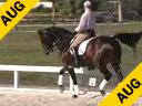 Hubertus Schmidt<br>Assisting<br>Shannon Dueck<br>Otto<br>KWPN<br>11 yrs. old Gelding<br>Training Prix St. George<br>Owner: Jean Vinios<br>Duration: 37 minutes