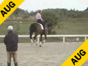 Hubertus Schmidt<br>Assisting<br>Nancy Smith<br>Donneur<br> by: Donnergraf<br>Owner: Caroline Ashton<br>10 yrs. old Gelding<br>Training: PSG / I-1<br>Duration: 32 minutes