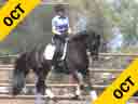 Day 1<br>Elizabeth Ball<br>
Riding & Lecturing<br>
Selten HW<br>
by:Sandro Hit<br>
Hanoverian<br>
6 yrs. old Gelding<br>
Training: 3rd Level<br>
Owner: Elizabeth Ball<br>
Duration: 33 minutes