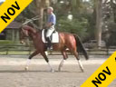 USDF APPROVED<br>University Accreditation<br>Available on DVD No.40<br>Day 2<br>George Williams<br>Riding & Lecturing<br>Favore<br>7 yrs. old Westfalen<br>Training: 2nd Level<br>Duration: 34 minutes