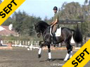 USDF APPROVED<br>
University Accreditation<br>Available on DVD No.41<br>
Steffen Peters<br>
Riding & Lecturing<br>
Ravel<br>
KWPN<br>
by:Contango<br>
12 yrs. old Gelding<br>
Training: GP Level<br>
Duration: 33 minutes