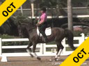 Jan Brink<br>
Assisting<br>
Kya Enderson<br>
Sofie<br>
Hanoverian<br>
8 yrs. Old Mare<br>
Training: 3rd Level<br>
Duration 45 minutes
