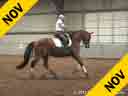 Bo Jena<br>
Long Lining Session<br>
Biltmare's Ballyshan Versace<br>
Irish Sport Horse<br>
by: VDL Arkansas<br>
7 yrs. old Gelding<br>
Duration: 32 minutes