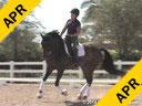 Jan Brink<br>
Assisting<br>
Sallie Spenard<br>
Fendi<br>
Warmblood<br>
Training: PSG<br>
Duration: 44 minutes 
