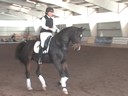 NEDA Fall Symposium<br>Day 1<br>Hubertus Schmidt<br>Assisting<br>Micaela Mabragana<br>Granada<br>14 yrs. old Gelding<br>Swedish <br>Owner: Sam Grunkorn<br>Training: Intermediaire 2<br>Duration: 49 minutes