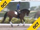Shannon Dueck<br>
Riding & Lecturing<br>
Maury<br>
KWPN<br>
8 yrs. old Gelding<br>
Training: 3rd Level<br>
Owner: Lee Garrod<br>
Duration: 27 minutes
