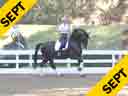 Mette Rosencrantz<br>Riding & Lecturing<br>Tyson<br>KWPN<br>8 yrs. old<br>Training Prix St. George<br>Duration: 34 minutes