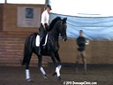 Day 3<br>
Markus Gribbe<br>
Assisting<br>
Rebecca Garrard<br>
Conbrio<br>
KWPN<br>
By:Contango<br>
10yrs. old Gelding<br>
Training: 4th/PSG Level<br>
Owned By:<br>
Caroline Williams<br>
Duration: 42 minutes