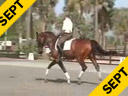 USDF APPROVED<br>University Accreditation<br>George Williams<br>Riding & Lecturing<br>Favore<br>Westfelen<br>8 yrs. old Gelding<br>Training: 3rd Level<br>Duration: 41 minutes