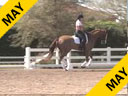 Jan Brink<br>
Assisting<br>
Joe Sandven<br>
Riding<br>
Mare<br>
Duration: 38 minutes 
