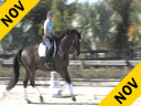 Betsy Steiner<br>
Riding & Lecturing<br>
Titan<br>
KWPN<br>
7 yrs. old Gelding<br>
Training: 4th Level<br>
Owner: University of Findley<br>
Duration: 26 minutes
