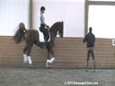 Day 1<br>
Markus Gribbe<br>
Assisting<br>
Dominique Culham<br>
Utango<br>
KWPN<br>
By:Contango<br>
9yrs. old Gelding<br>
Training: PSG/1-1 Level<br>
Owned By:<br>
Denise Turner<br>
Duration: 42 minutes