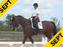 Kathy Connelly<br>Assisting<br>Reese Koffler Stanfield<br>Jamica<br>KWPN<br>16 yrs. old Mare<br>Training: Grand Prix<br>Duration: 27 minutes