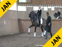 Daniel Ramseier<br>
Assisting<br>
Hayley Beresford<br>
Relampago Do Retiro<br>
Lusitano<br>
13 yrs. old Stallion<br>
Training: GP Level<br>
Owner: Eduardo Fischer<br>
Duration: 28 minutes
