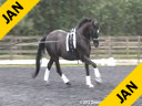 J.J. Tate<br>
Assisting<br>
Debbie Dalseg<br>
Cameo<br>
Hanoverian/Cross<br>
12 yrs. old Gelding<br>
Training: PSG/I-1<br>
Owner: Debbie Dalseg<br>
Duration: 45 minutes