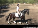 U.S. Trainers & Judges Young Horse Forum<br>Day 3<br>
Dr. Dieter Schule &<br>
Susanne Lauda<br>
Warm-Ups,test rides<br>
Discussion of Scoring<br>
Assisting<br>
Barbi Breen<br>
Vindicator<br>
KWPN<br>
6 yrs. old Gelding<br> 
Duration: 61