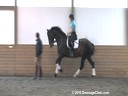 Day 2<br>
Markus Gribbe<br>
Assisting<br>
Andrea Taylor<br>
Lotus<br>
Westphalen<br>
By:Donnerhall<br>
9yrs. old Gelding<br>
Training: PSG Level<br>
Owned By:<br>
Shelly Lawder<br>
Duration: 38 minutes