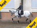 Penny Rockx<br>Assisting<br>Shani Pitcho<br>Ofensa<br>Owned by: Penny Rockx<br>13 yrs. old Lusitano Mare<br>Training: Grand Prix<br>Duration: 36 minutes