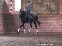 Day 2<br>
Markus Gribbe<br>
Assisting<br>
Nikki Greenburg<br>
San Donato<br>
Hanoverian<br>
By:Sandro Hit<br>
6yrs. old Gelding<br>
Training: 2nd Level<br>
Owned By:<br>
Nikki Greenburg<br>
Duration:  29 minutes